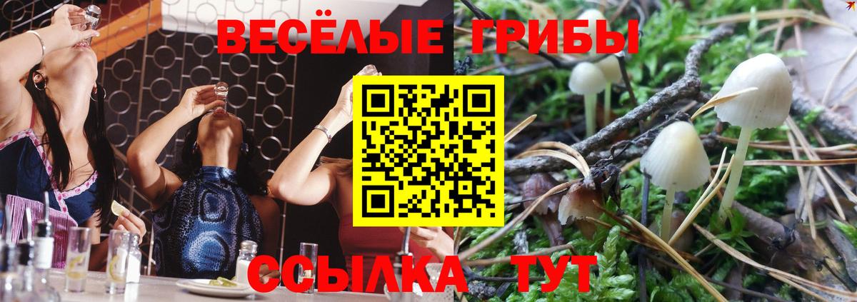 Псилоцибиновые грибы GOLDEN TEACHER Сосновый Бор